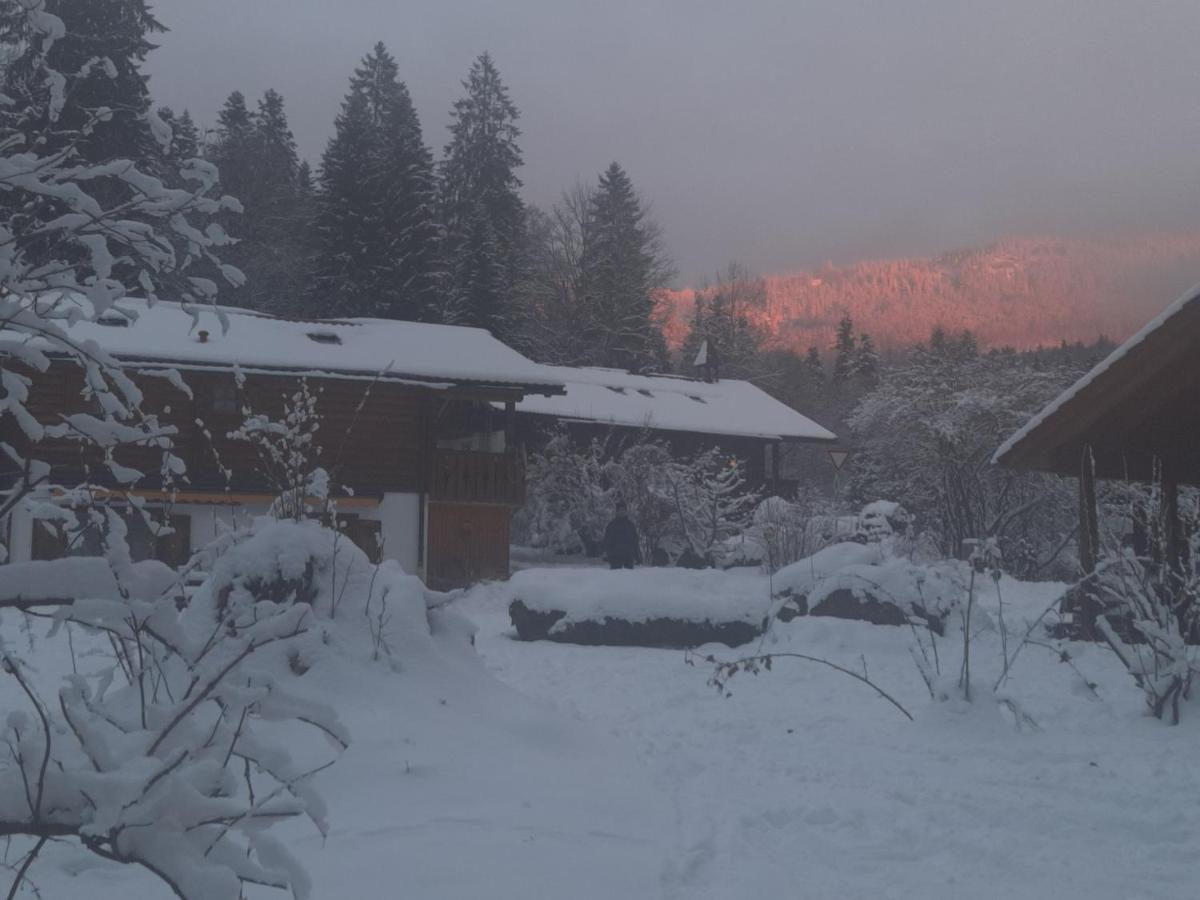 Huettenzauber Ferienwohnung Mitten Im Nationalpark Lindberg Екстер'єр фото