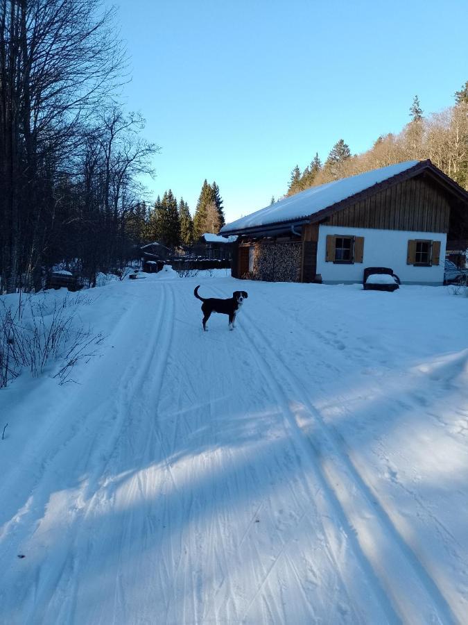 Huettenzauber Ferienwohnung Mitten Im Nationalpark Lindberg Екстер'єр фото